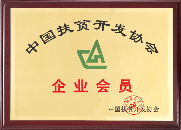 中国扶贫开发协会会员（奖牌）